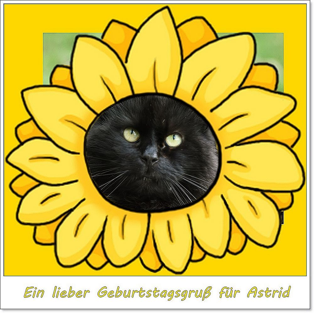 Weil heute dein Geburtstag ist Foto & Bild fotos, spezial