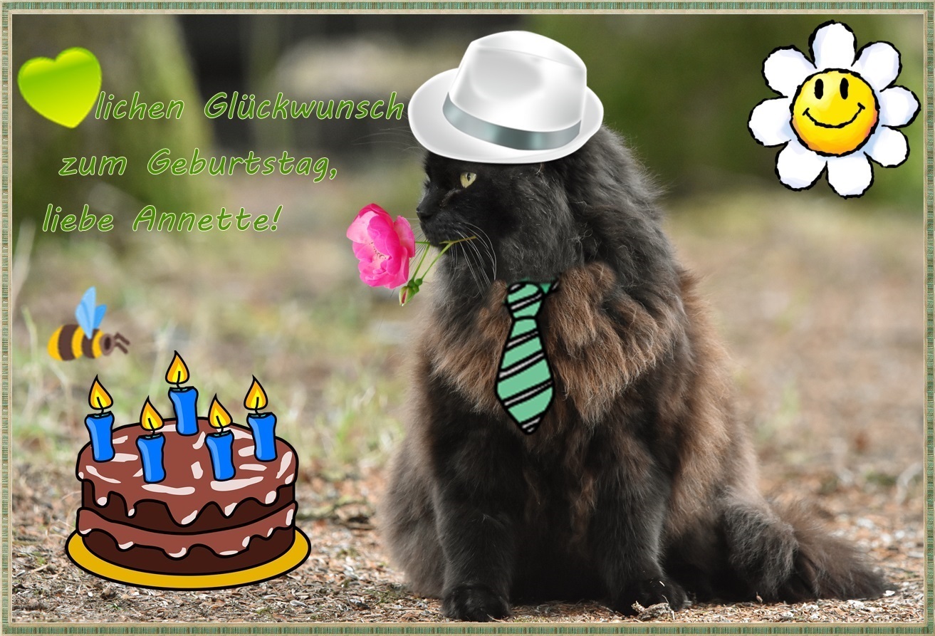 Weil heute dein Geburtstag ist Foto & Bild spezial, menschen