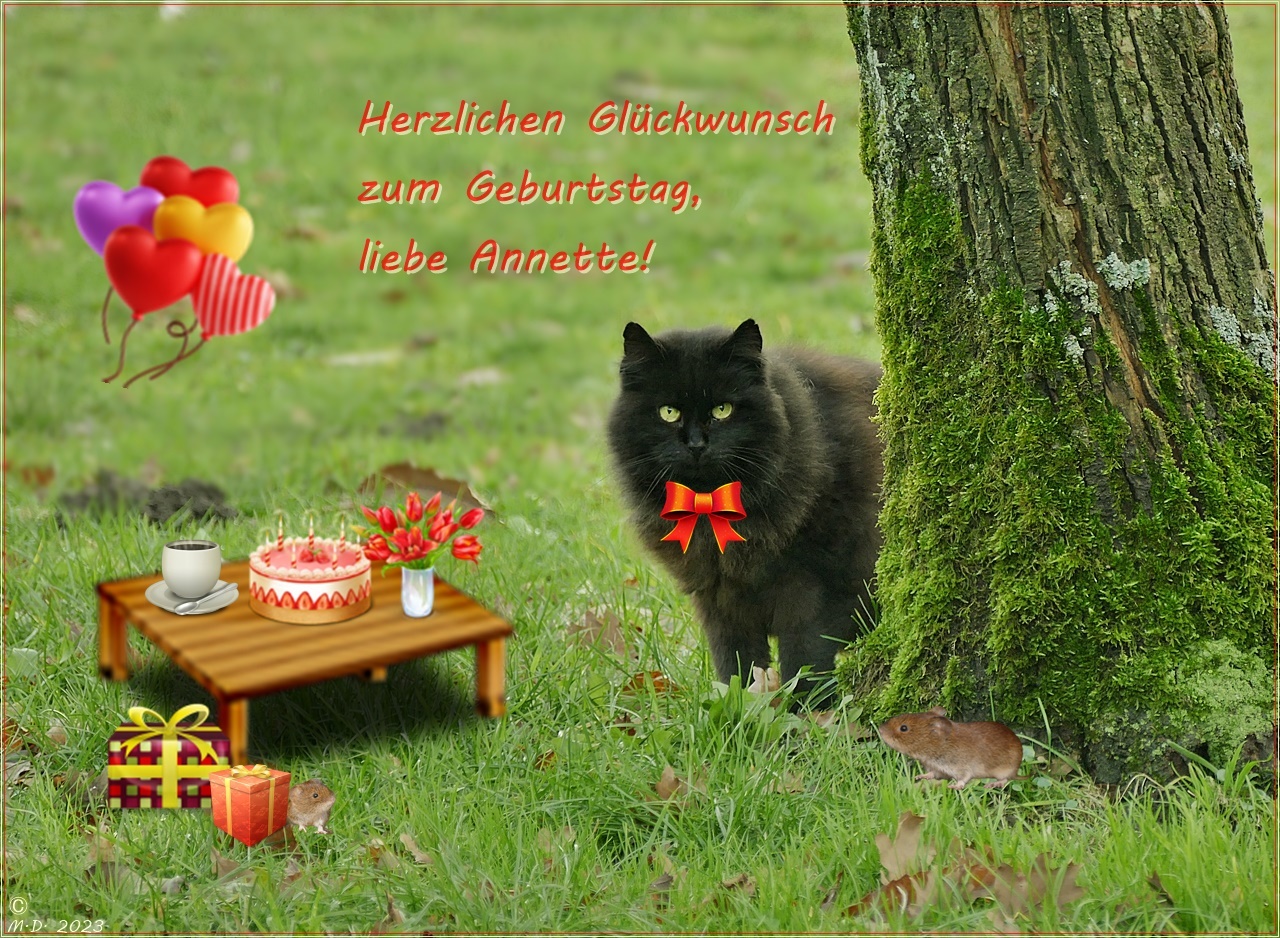 Weil heute Dein Geburtstag ist ...