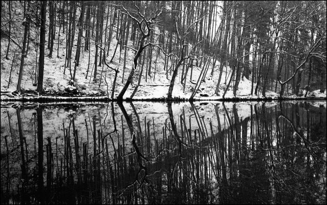 - weil immer noch winter ist -