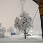 Weil man nicht genug bekommen kann .... Schnee im Olymipazentrum