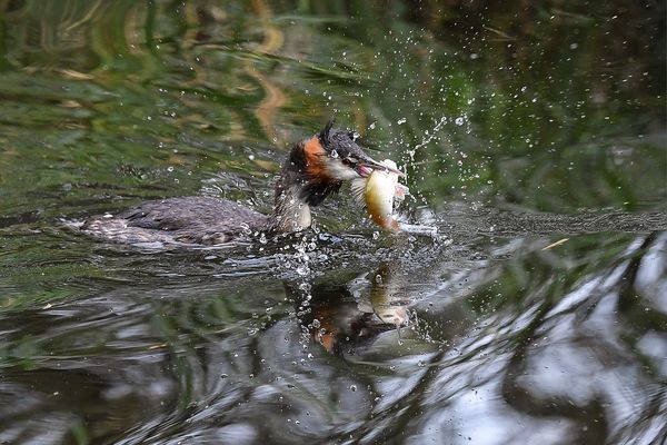 Weil morgen Freitag ist