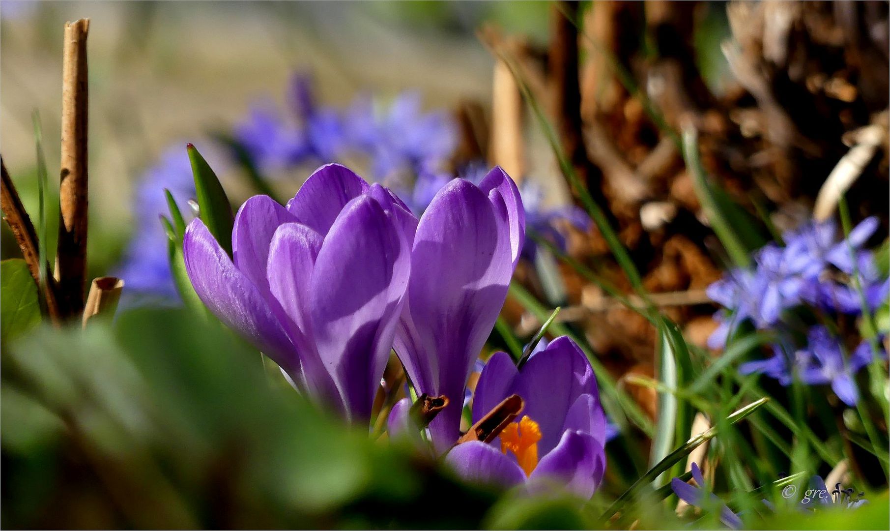 Weil morgen Frühlingsanfang ist