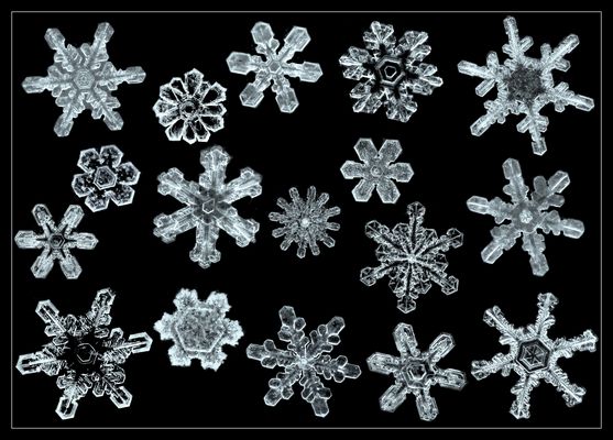 Weil nun bald die Flocken fallen...