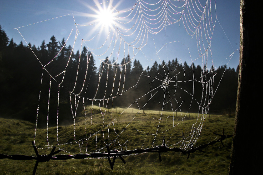 Weiler i. Allgäu III