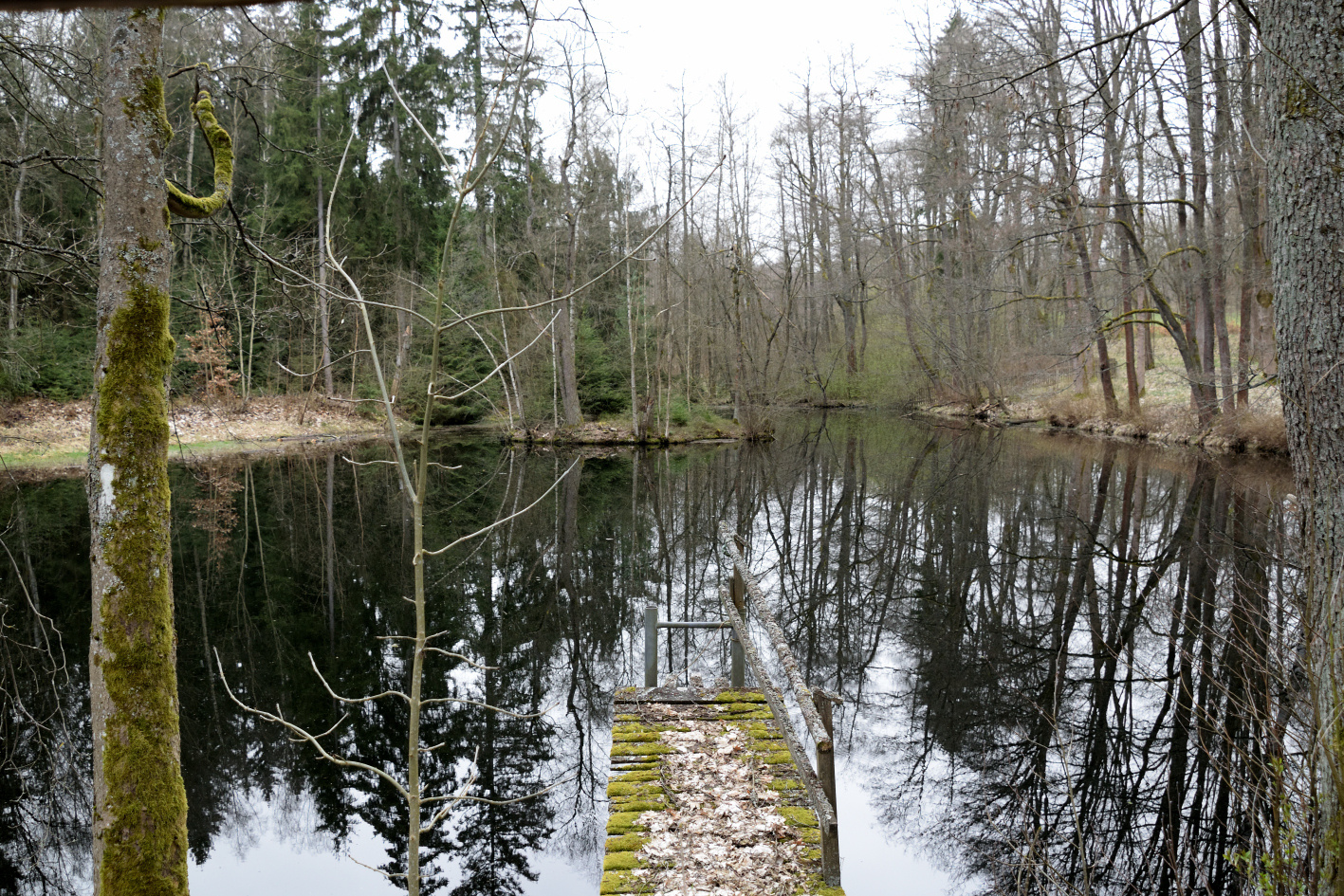 Weiler mit verwittertem Steg