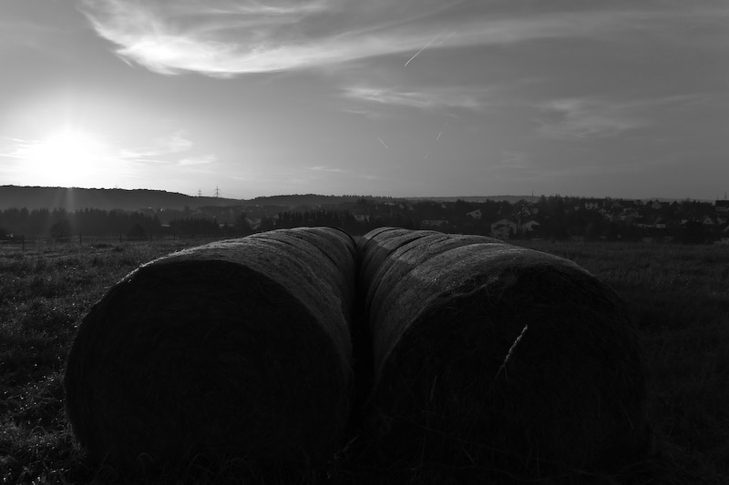 Weilerbach bei Sonnenaufgang 2