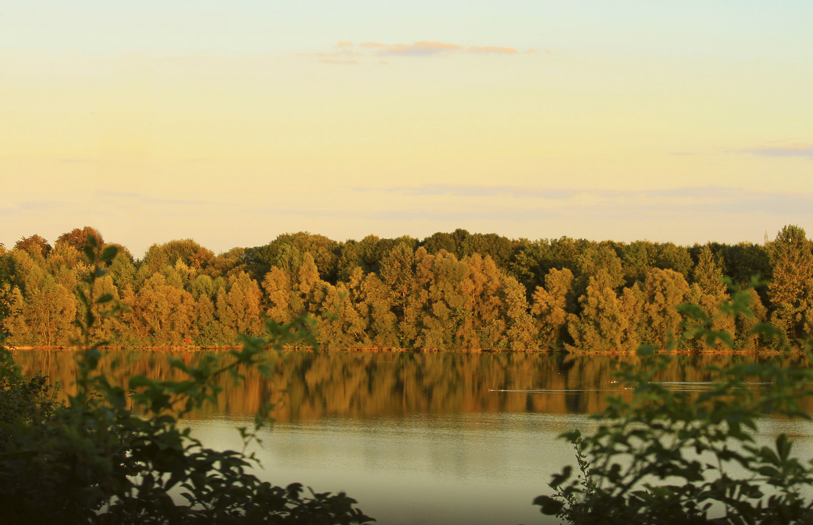 Weilerhofer See