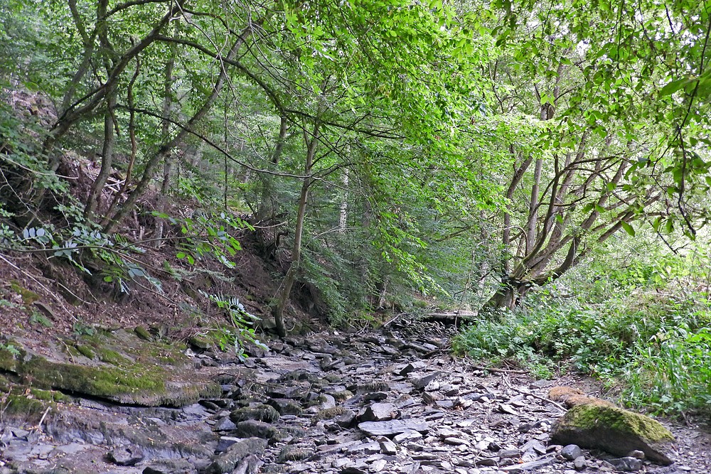 Weilrod in Wassernot: Auch 2023 ist die Weil erneut ausgetrocknet 01