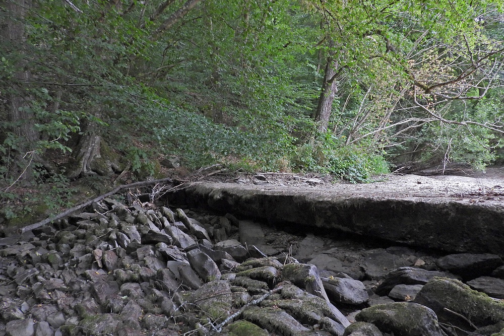 Weilrod in Wassernot: Auch 2023 ist die Weil erneut ausgetrocknet 05