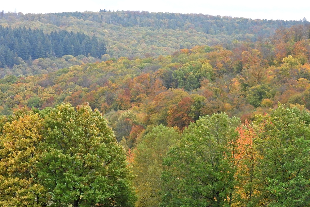 Weilroder Herbstbunt 01