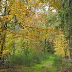 Weilroder Herbstbunt 02