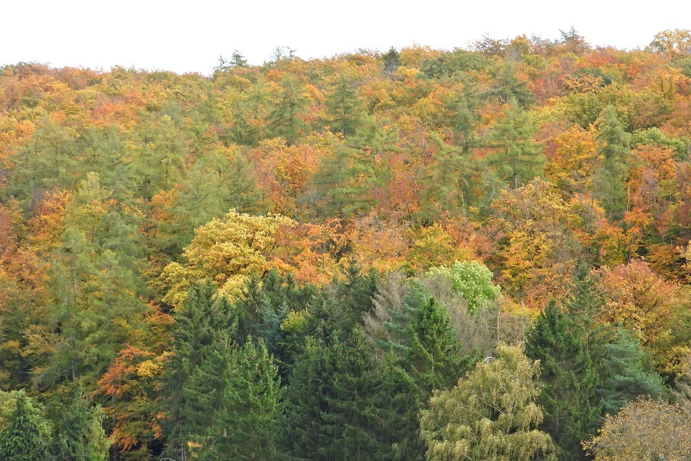 Weilroder Herbstbunt 07