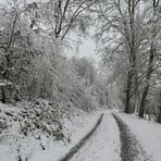 Weilroder Naturkostbarkeiten: Die Eichelbachaue – aktuell ein Wintermärchen 01