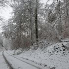 Weilroder Naturkostbarkeiten: Die Eichelbachaue – aktuell ein Wintermärchen 03