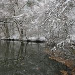 Weilroder Naturkostbarkeiten: Die Eichelbachaue – aktuell ein Wintermärchen 04