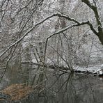 Weilroder Naturkostbarkeiten: Die Eichelbachaue – aktuell ein Wintermärchen 05