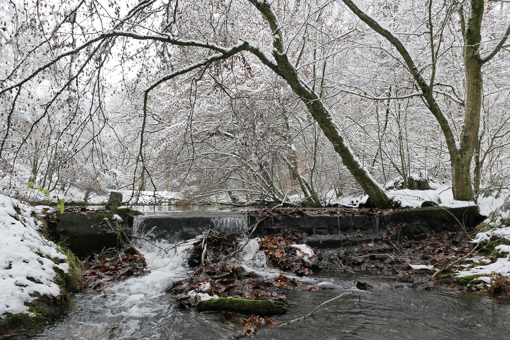 Weilroder Naturkostbarkeiten: Die Eichelbachaue – aktuell ein Wintermärchen 06