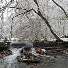 Weilroder Naturkostbarkeiten: Die Eichelbachaue – aktuell ein Wintermärchen 06