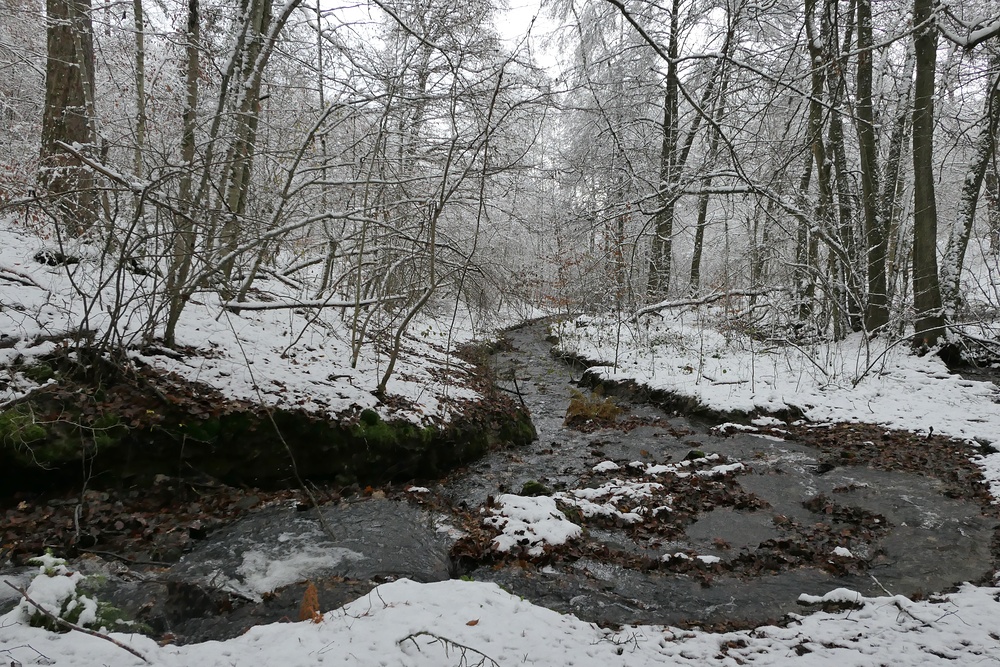 Weilroder Naturkostbarkeiten: Die Eichelbachaue – aktuell ein Wintermärchen 07