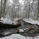 Weilroder Naturkostbarkeiten: Die Eichelbachaue – aktuell ein Wintermärchen 07