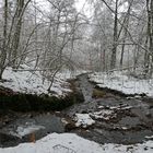 Weilroder Naturkostbarkeiten: Die Eichelbachaue – aktuell ein Wintermärchen 08