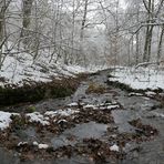 Weilroder Naturkostbarkeiten: Die Eichelbachaue – aktuell ein Wintermärchen 09