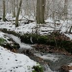 Weilroder Naturkostbarkeiten: Die Eichelbachaue – aktuell ein Wintermärchen 10