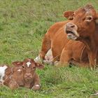 Weilroder Neubürger (chen) mit seiner Mutter