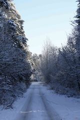 weils 20 cm Neuschnee gab