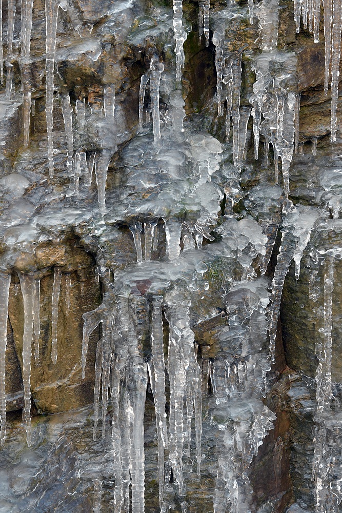 Weiltaler Eiszapfen – Paraden 13