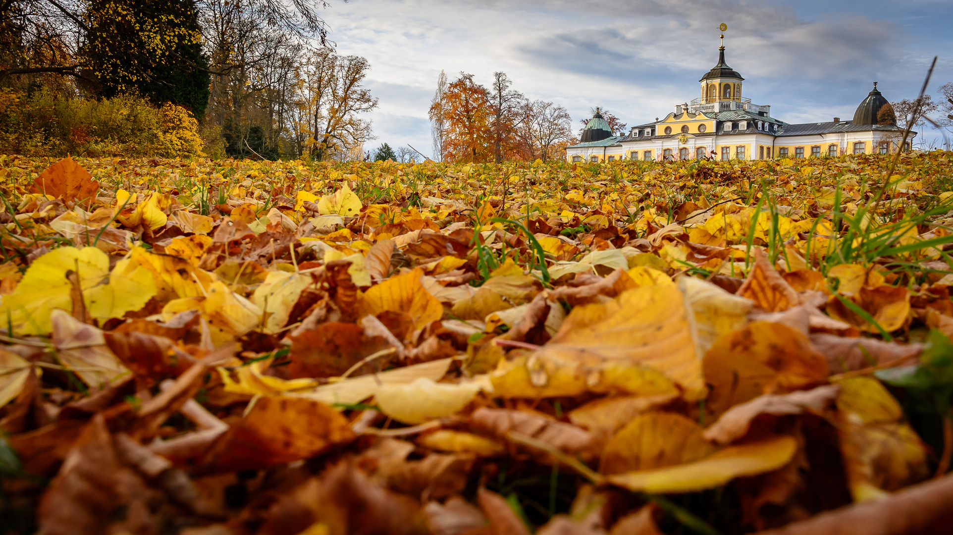 Weimar-Belvedere 1