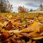 Weimar-Belvedere 1