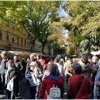 weimar im herbst - zwiebelmarkt