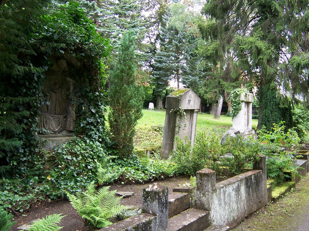 Weimarer Friedhof 3