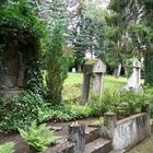 Weimarer Friedhof 3