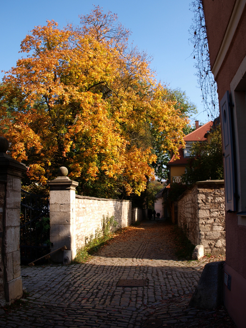 Weimarer Herbst