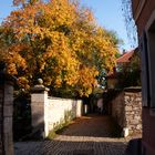 Weimarer Herbst