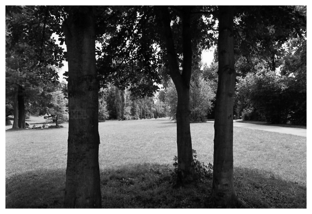 Weimarer Park...auf dem Weg zu Goethes Gartenhaus