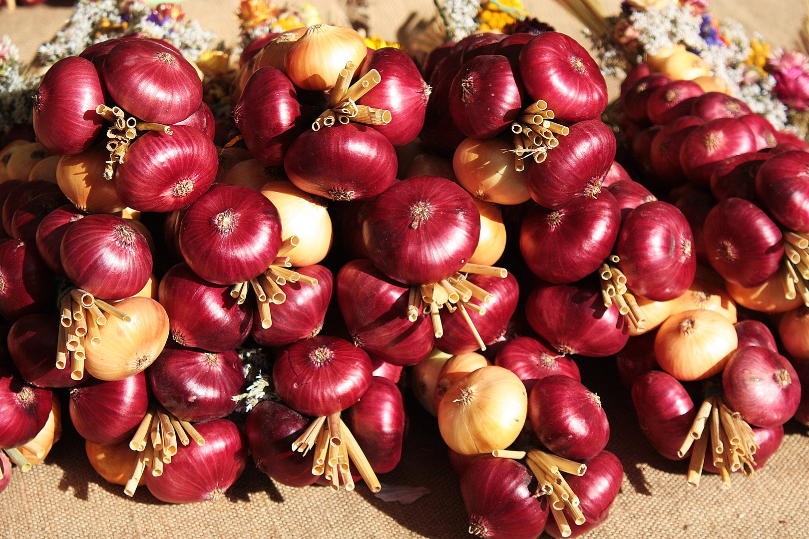 Weimarer Zwiebelmarkt  -  ein Fest der Farben