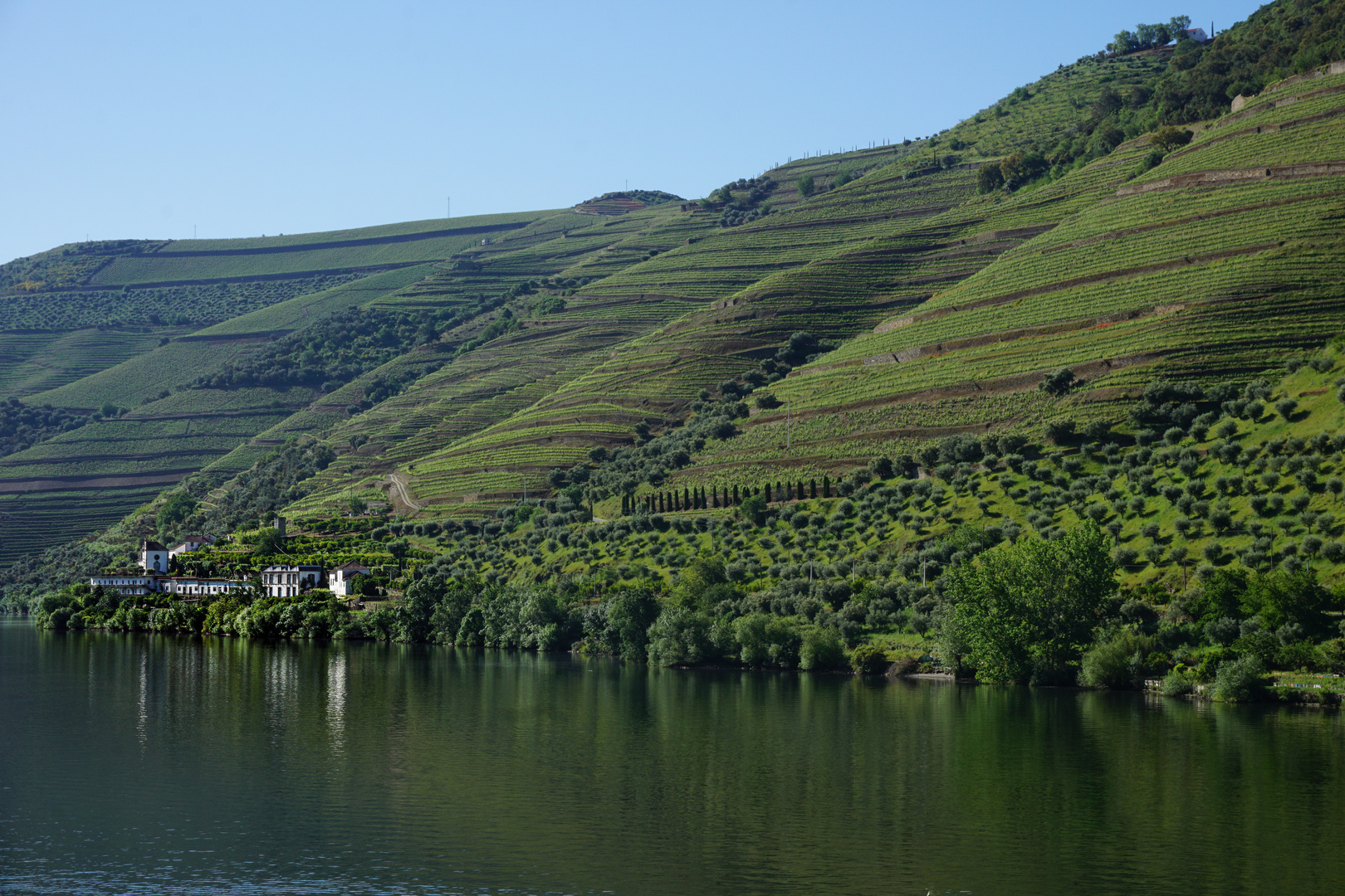 Wein am Douro