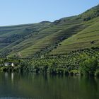 Wein am Douro