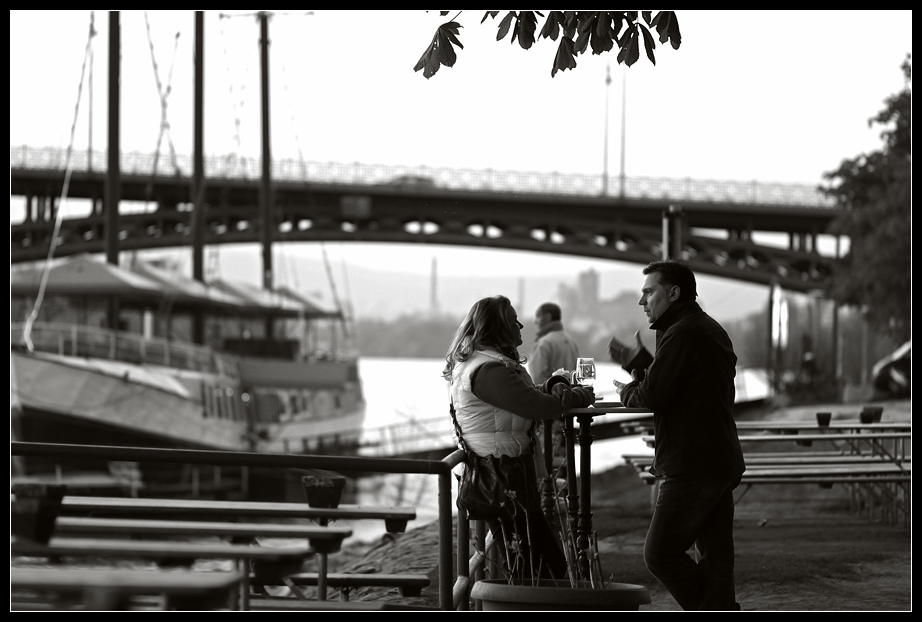 Wein am Rhein