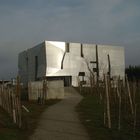 Wein + Architektur