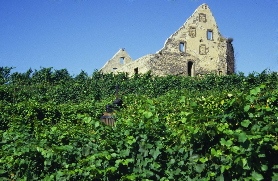 Wein aus dem Breisgau