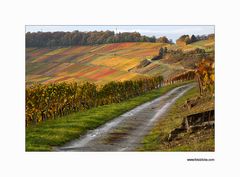 Wein Berg Weg