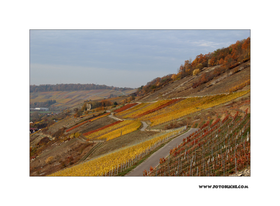 Wein Berge 2018