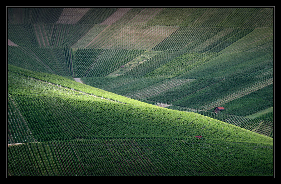 Wein-Berge-Licht-Blick