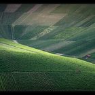 Wein-Berge-Licht-Blick