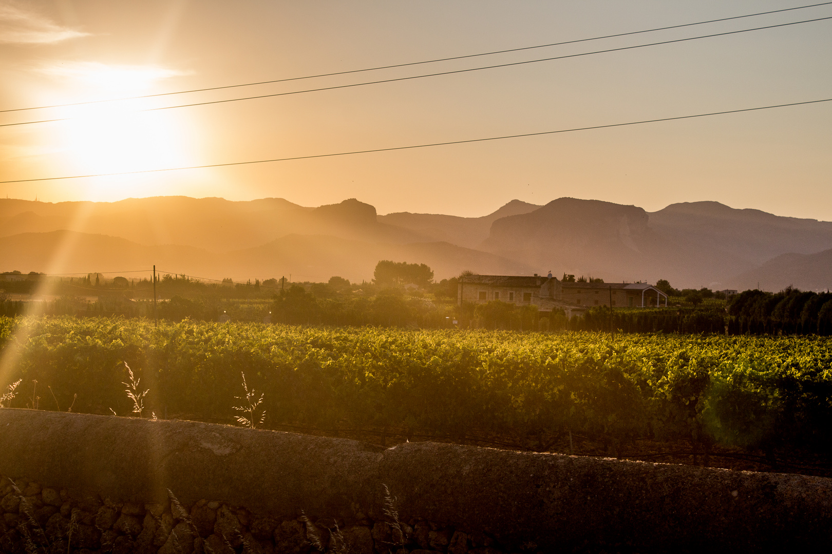 Wein, Berge.. und Strom